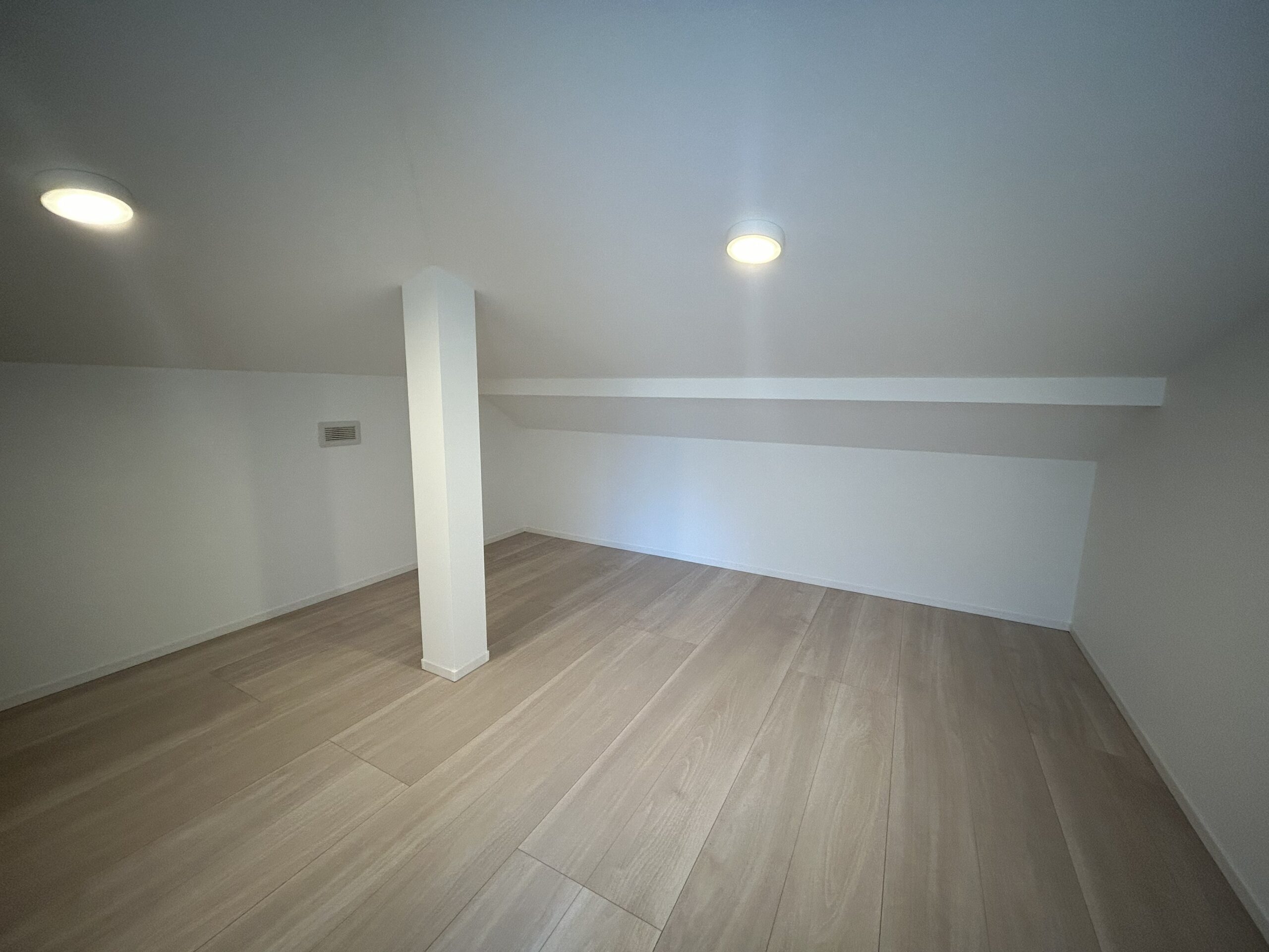 小屋裏収納
